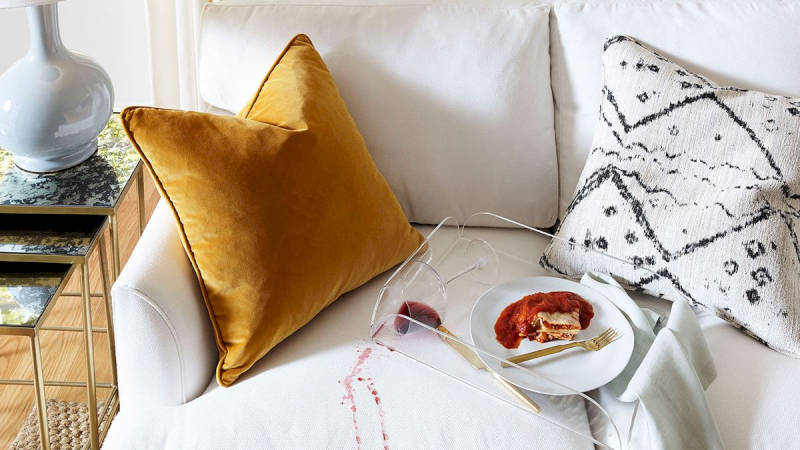 Bạn cần hạn chế ăn uống, để lông thú cưng rụng lên trên bề mặt ghế sofa