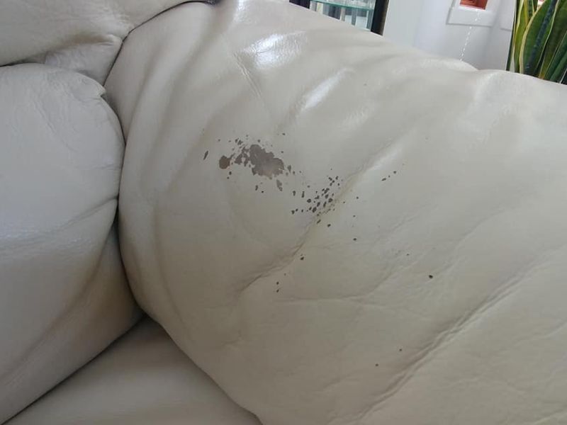 So với da thật, chất liệu PU dễ bong tróc hơn