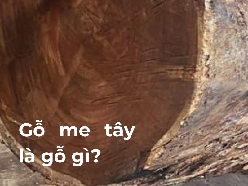 gỗ me tây là gỗ gì
