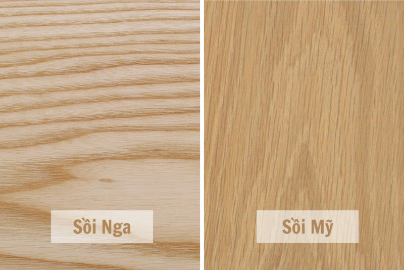 Gỗ sồi Mỹ và Nga là hai loại gỗ tự nhiên cao cấp được ứng dụng nhiều trong thị trường đồ nội thất