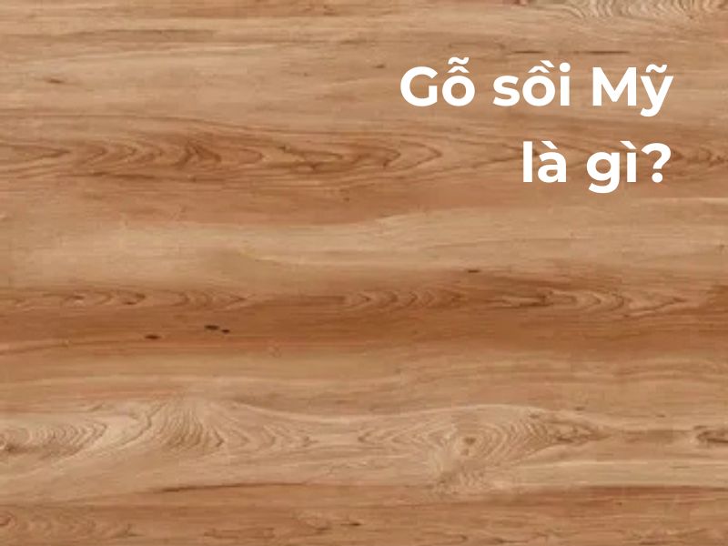 gỗ sồi mỹ